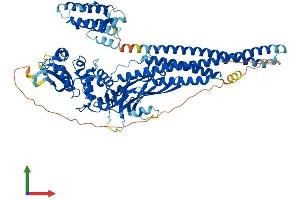 AlphaFold protein structure predicition of Mouse Recombinant Stat5a Protein, UniprotID P42230 (STAT5A Protein (AA 1-793) (His tag))