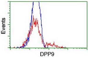 HEK293T cells transfected with either RC224465 overexpress plasmid (Red) or empty vector control plasmid (Blue) were immunostained by anti-DPP9 antibody (ABIN2455388), and then analyzed by flow cytometry. (DPP9 antibody)