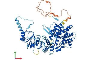 AlphaFold protein structure predicition of Human Recombinant CCT8L2 Protein, UniprotID Q96SF2