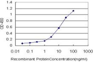 Detection limit for recombinant GST tagged RORB is approximately 0. (RORB antibody  (AA 136-224))