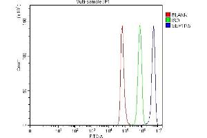 Flow Cytometry analysis of NRK cells using anti-SEPT5/SEPTIN5 antibody (ABIN7602924).