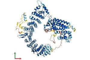 AlphaFold protein structure predicition of Mouse Recombinant Ints4 Protein, UniprotID Q8CIM8