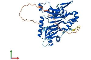 AlphaFold protein structure predicition of Human Recombinant RPUSD3 Protein, UniprotID Q6P087 (RPUSD3 Protein (AA 1-351) (His tag))