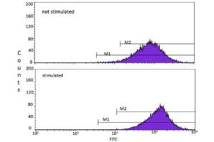 Anti-ATMpS1981 Flow Cytometry Flow Cytometry of Mouse anti-ATMpS1981 antibody. (ATM antibody  (pSer1981))