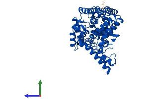 AlphaFold protein structure predicition of Human Recombinant FADS2 Protein, UniprotID O95864