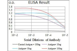 Red: Control Antigen (100ng) ; Purple: Antigen (10ng) ; Green: Antigen (50ng) ; Blue: Antigen (100ng). (E2F1 antibody  (AA 69-223))