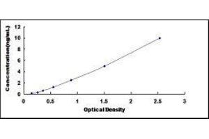 Nuclear Factor-kB p65 (NFkBP65) ELISA Kit