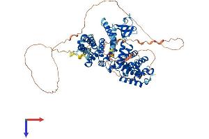 AlphaFold protein structure predicition of Mouse Recombinant Nckipsd Protein, UniprotID Q9ESJ4 (NCKIPSD Protein (AA 1-714) (His tag))