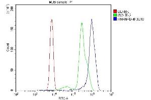Flow Cytometry analysis of U937 cells using anti- hnRNP D/AUF1/HNRNPD antibody (ABIN7602592).