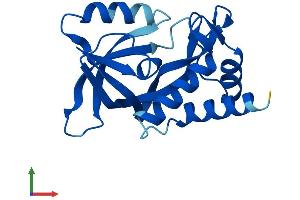 AlphaFold protein structure predicition of Mouse Recombinant Chac2 Protein, UniprotID Q9CQG1