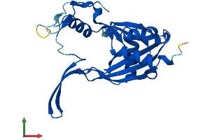 Protein Structure (PS) image for Nudix (Nucleoside Diphosphate Linked Moiety X)-Type Motif 14 (NUDT14) (AA 1-222) protein (His tag) (ABIN7549944)