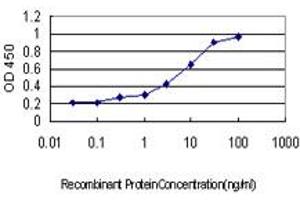 Detection limit for recombinant GST tagged PDCD7 is approximately 0. (PDCD7 antibody  (AA 47-146))