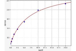 5'-Nucleotidase, Ecto (CD73) (NT5E) ELISA Kit