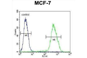 Flow Cytometry (FACS) image for anti-LIM Domain Only 4 (LMO4) antibody (ABIN2995822) (LMO4 antibody)