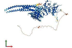 AlphaFold protein structure predicition of Human Recombinant STAT5A Protein, UniprotID P42229 (STAT5A Protein (AA 1-794) (His tag))