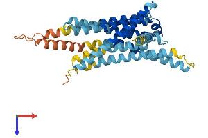 Taste Receptor, Type 2, Member 110 (TAS2R110) (AA 1-333) protein (His tag)