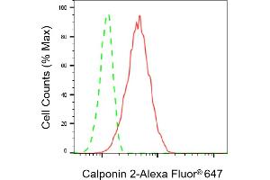 Flow cytometric analysis of Calponin 2 expression in HT- cells using Calponin 2 antibody (ABIN7797852), 1:1,000). (CNN2 antibody)