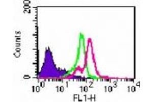 Image no. 1 for anti-Toll-Like Receptor 7 (TLR7) (AA 650-700) antibody (ABIN208869) (TLR7 antibody  (AA 650-700))