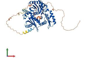 AlphaFold protein structure predicition of Mouse Recombinant Mon1a Protein, UniprotID Q6PDG8 (MON1A Protein (AA 1-556) (His tag))