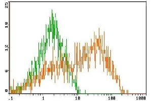 Flow Cytometry (FACS) image for anti-Killer Cell Lectin-Like Receptor Subfamily D, Member 1 (KLRD1) antibody (FITC) (ABIN951437) (CD94 antibody  (FITC))