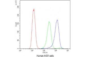 Flow cytometry testing of human A431 cells with ATG14L antibody at 1ug/10^6 cells (blocked with goat sera) (ATG14 antibody)