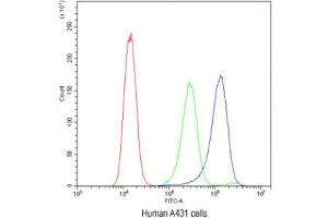 Flow cytometry testing of human A431 cells with ATG14L antibody at 1ug/10^6 cells (blocked with goat sera)