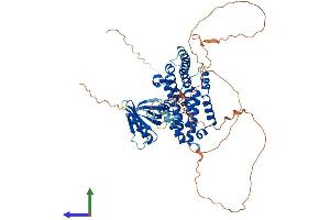 AlphaFold protein structure predicition of Mouse Recombinant Ralgps2 Protein, UniprotID Q9ERD6