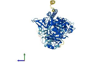 AlphaFold protein structure predicition of Mouse Recombinant Slc27a3 Protein, UniprotID O88561