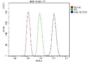 Flow Cytometry analysis of HepG2 cells using anti-WAC antibody (ABIN7601789). (WAC antibody  (AA 459-647))