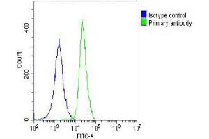 Overlay histogram showing A549 cells stained with (ABIN653155 and ABIN2842723) (green line). (ANGPTL4 antibody  (AA 138-167))