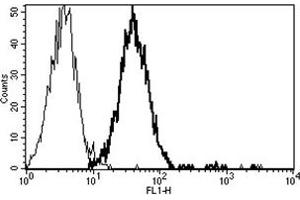 Flow Cytometry (FACS) image for anti-CD151 (CD151) antibody (ABIN1105898) (CD151 antibody)
