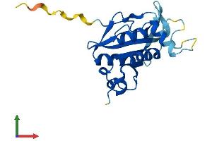 AlphaFold protein structure predicition of Mouse Recombinant Josd2 Protein, UniprotID Q9CR30