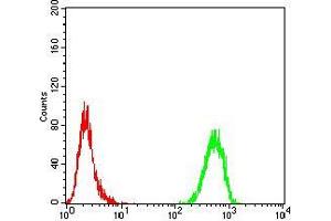 Flow cytometric analysis of MCF-7 cells using TH mouse mAb (green) and negative control (red). (TH antibody  (AA 44-208))