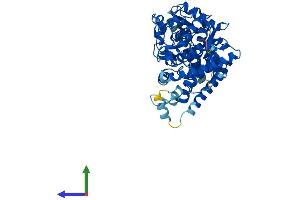 AlphaFold protein structure predicition of Mouse Recombinant Cyp4f14 Protein, UniprotID Q9EP75 (Cyp4f14 Protein (AA 1-524) (His tag))