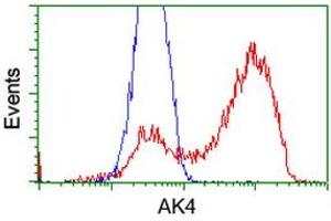 HEK293T cells transfected with either RC220572 overexpress plasmid (Red) or empty vector control plasmid (Blue) were immunostained by anti-AK4 antibody (ABIN2454577), and then analyzed by flow cytometry. (AK4 antibody)