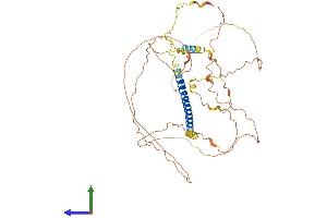 AlphaFold protein structure predicition of Human Recombinant SPEM2 Protein, UniprotID Q0P670 (C17orf74 Protein (AA 1-501) (His tag))