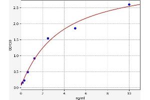 SIGLEC8 ELISA Kit