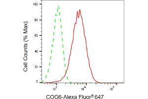 Flow cytometric analysis of COG6 expression in HepG2 cells using COG6 antibody (ABIN7798145), 1:1,000). (Recombinant COG6 antibody)