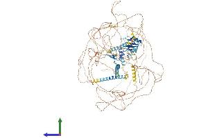 Protein Structure (PS) image for Apoptotic Chromatin Condensation Inducer 1 (ACIN1) (AA 1-1341) protein (His tag) (ABIN7551941)