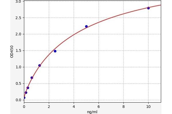 FOXC2 ELISA Kit