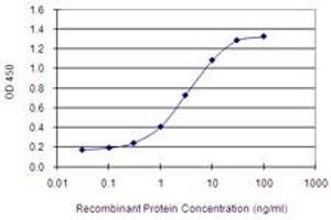 Detection limit for recombinant GST tagged EIF2AK3 is 0. (PERK antibody  (AA 665-764))