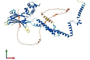 AlphaFold protein structure predicition of Mouse Recombinant Smarcd1 Protein, UniprotID Q61466