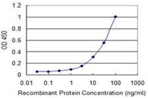 Detection limit for recombinant GST tagged SFXN3 is 1 ng/ml as a capture antibody. (SFXN3 antibody  (AA 1-100))