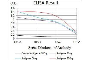 Black line: Control Antigen (100 ng), Purple line: Antigen(10 ng), Blue line: Antigen (50 ng), Red line: Antigen (100 ng), (ABCG5 antibody  (AA 306-367))