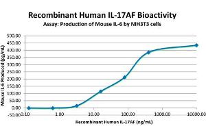 SDS-PAGE of Human Interleukin-17AF Heterodimer Recombinant Protein Bioactivity of Human Interleukin-17 Animal Free Heterodimer Recombinant Protein. (IL-17A/F Protein)