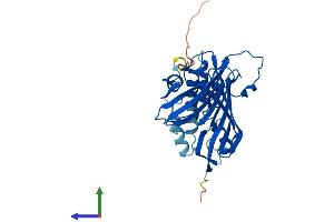 AlphaFold protein structure predicition of Mouse Recombinant Acot8 Protein, UniprotID P58137 (ACOT8 Protein (AA 1-320) (His tag))