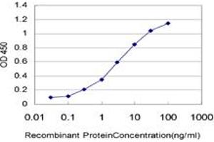 Detection limit for recombinant GST tagged AHR is approximately 0. (Aryl Hydrocarbon Receptor antibody  (AA 721-820))