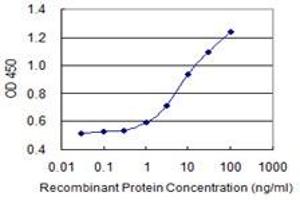 Detection limit for recombinant GST tagged NDFIP2 is 0. (NDFIP2 antibody  (AA 1-242))