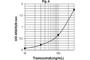 ELISA image for Trastuzumab ELISA Kit (ABIN2862652) (Trastuzumab ELISA Kit)