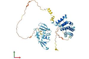 AlphaFold protein structure predicition of Mouse Recombinant Eif5 Protein, UniprotID P59325 (EIF5 Protein (AA 1-429) (His tag))